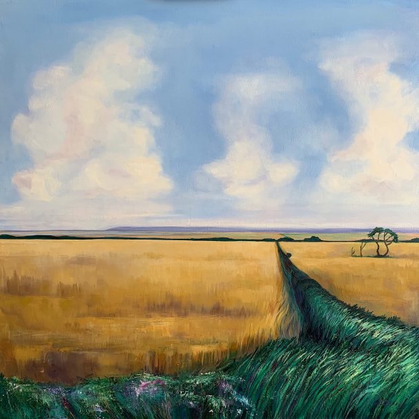 A wide, golden landscape with a winding path and fluffy clouds in a blue sky.